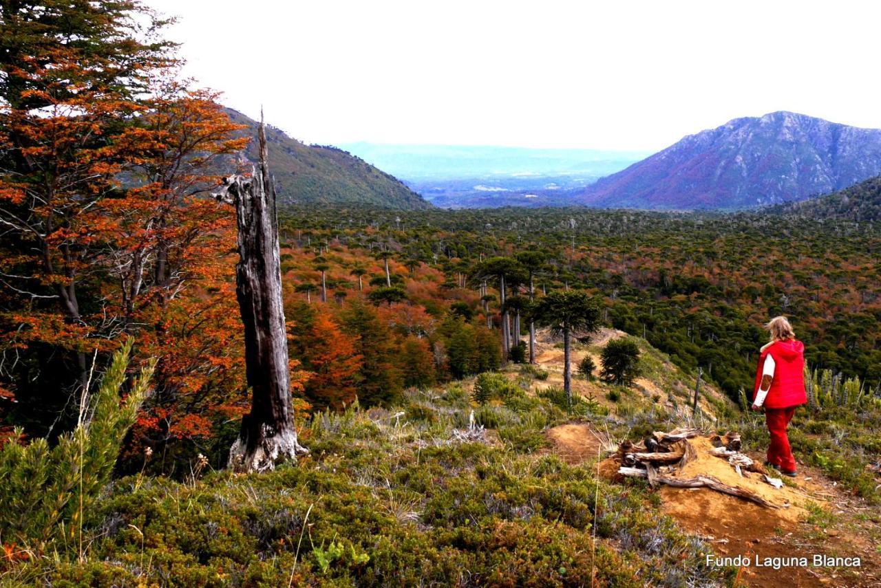 Hotel Lodge Fundo Laguna Blanca Куракаутин Экстерьер фото